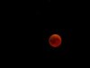 P7277528_DxO.jpg