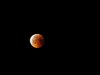 P7287773_DxO.jpg