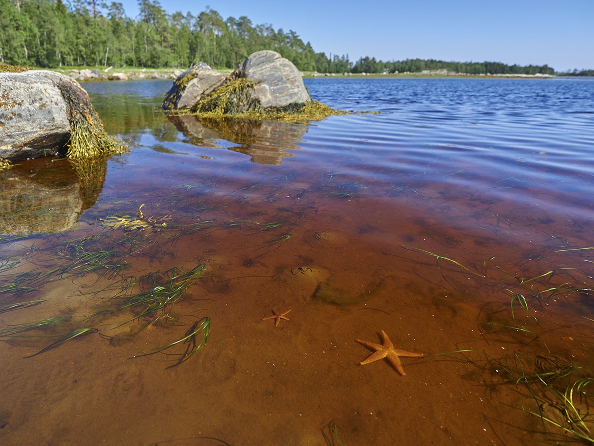 Белое море. Карелия.