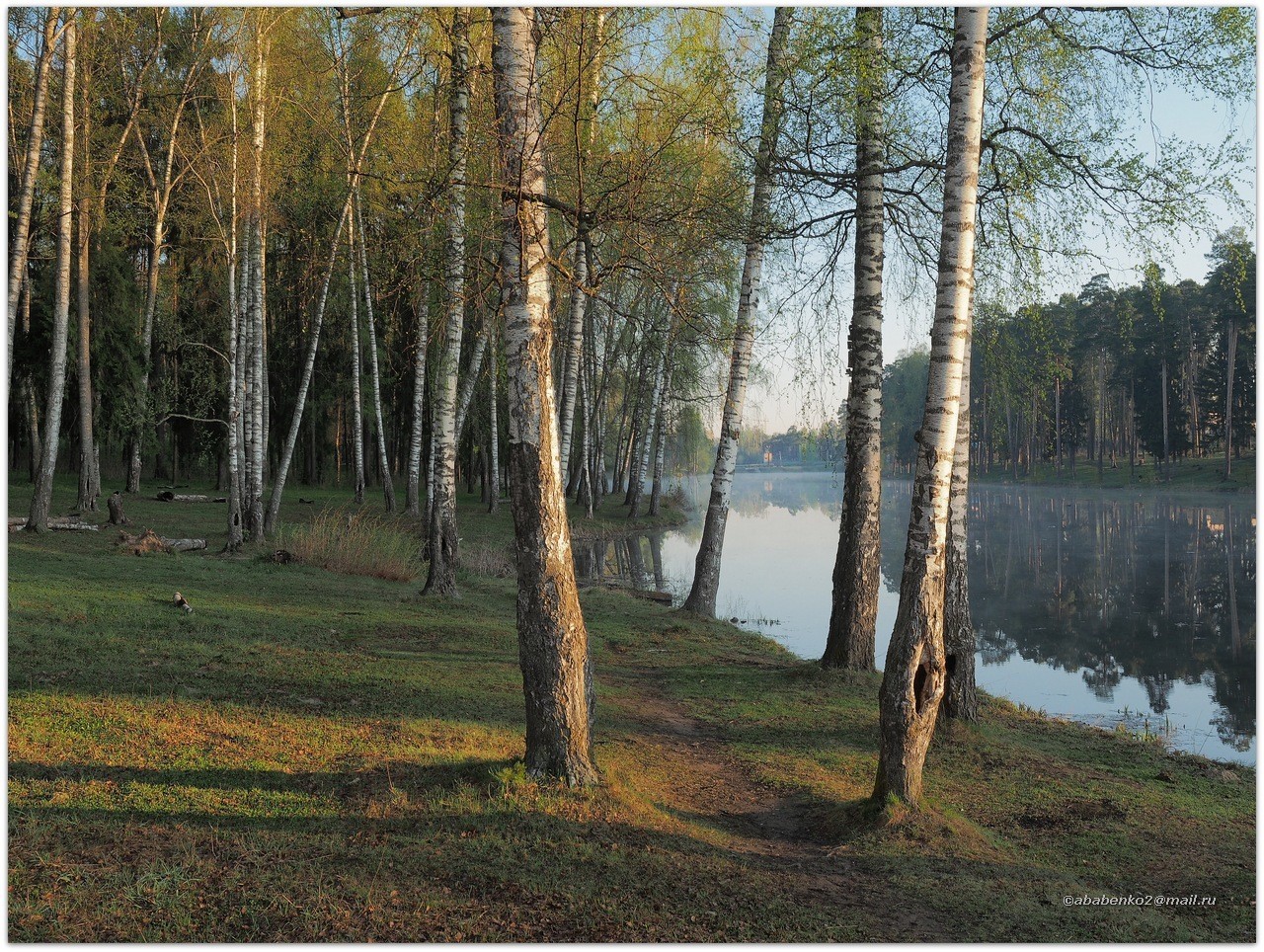 Утром в весеннем лесу