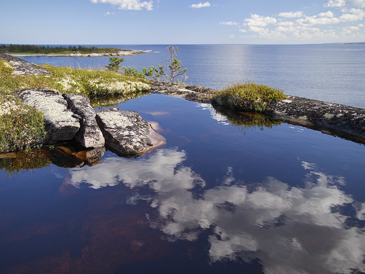 Белое море. Берег белого моря Карелия. Республика Карелия белое море. Берег Онега белое море. Берег белого моря у Беломорска.