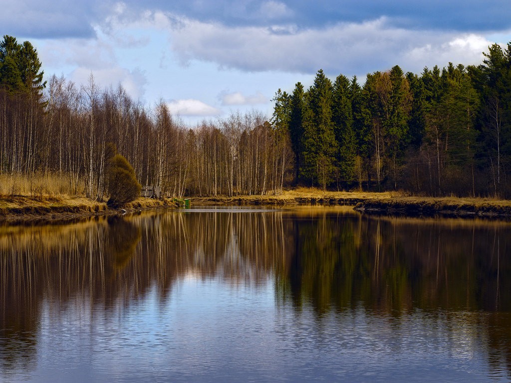 Родная сторонка