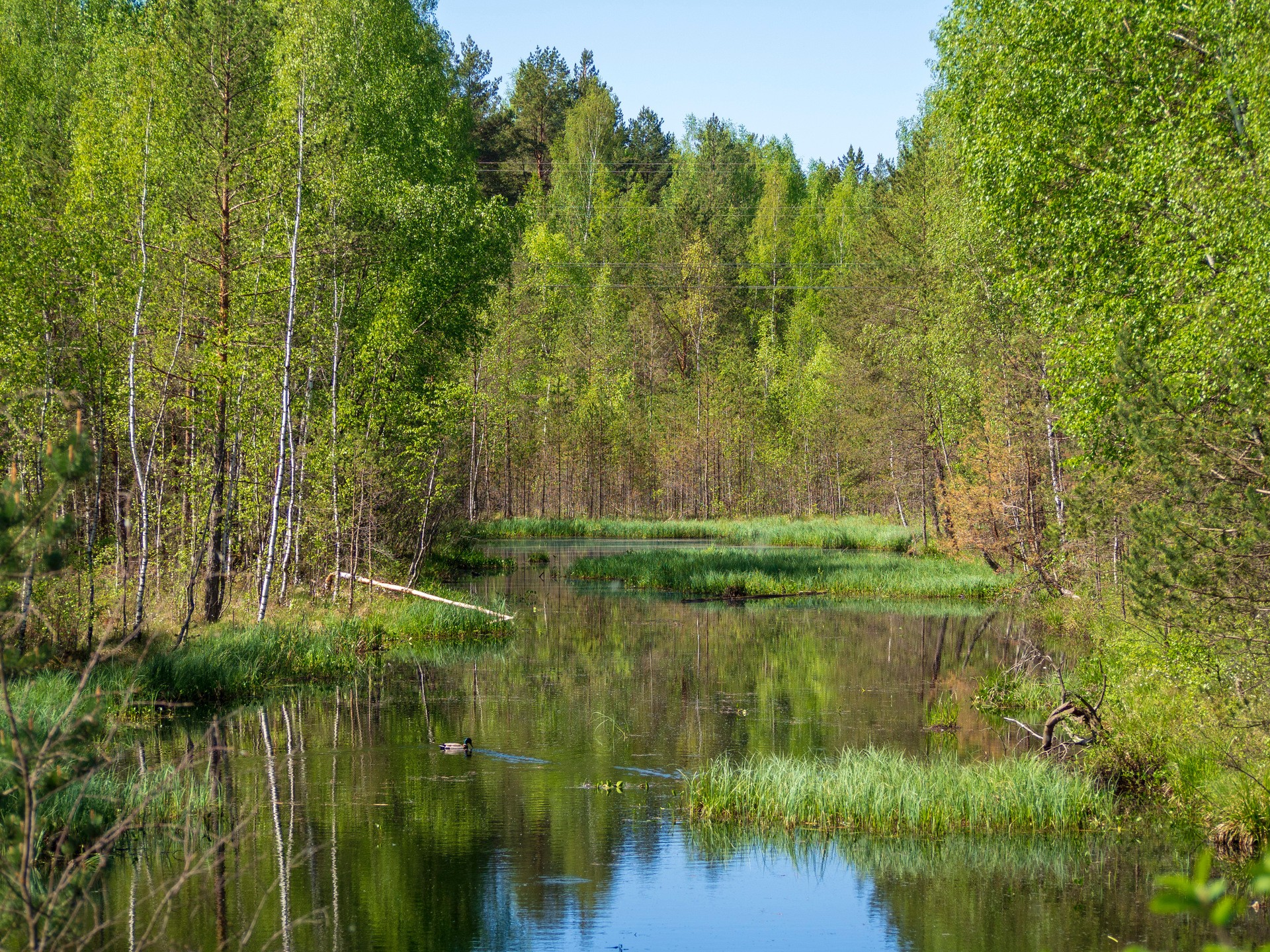 Тихий водоем