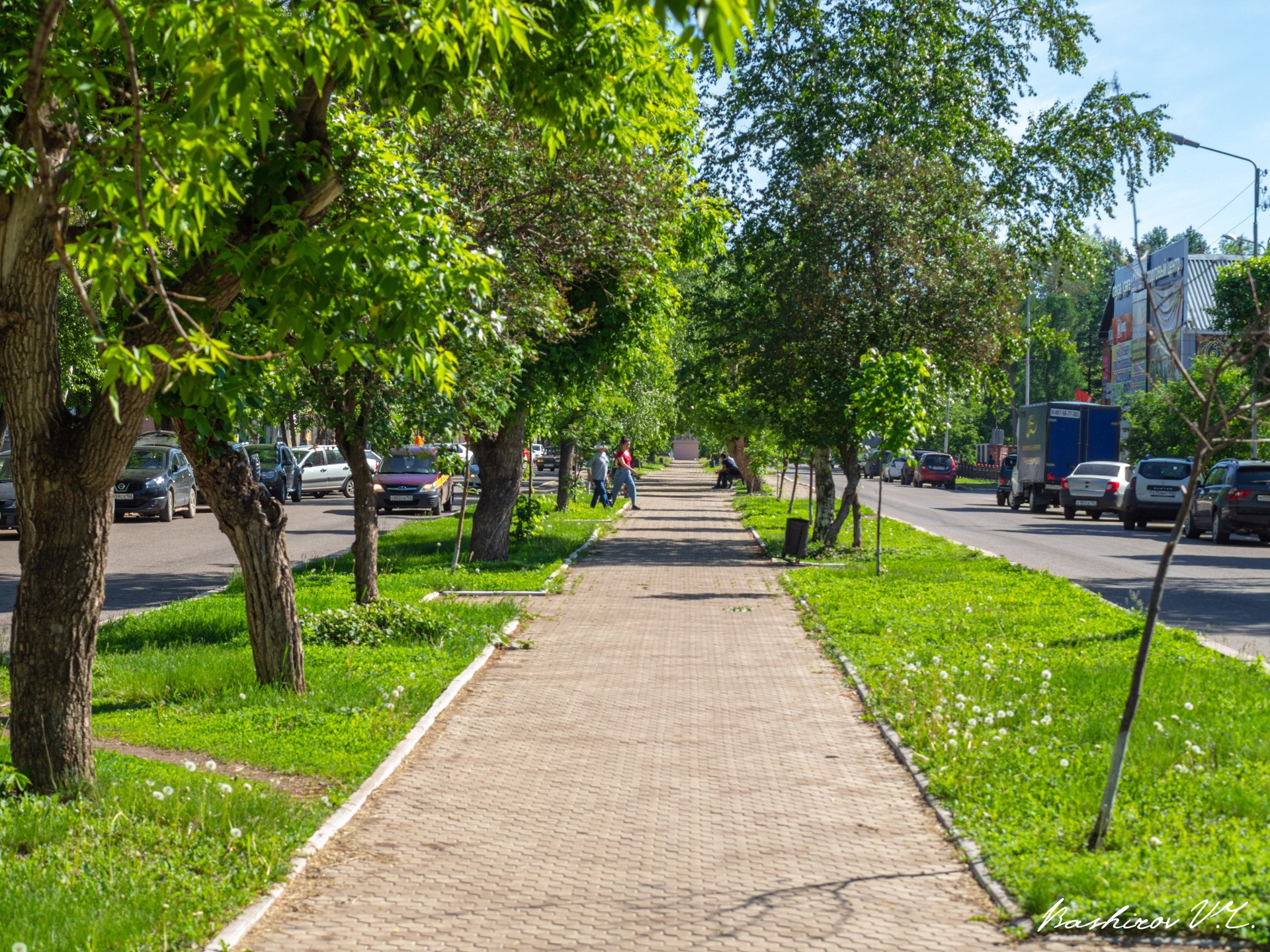 Аллея в городе