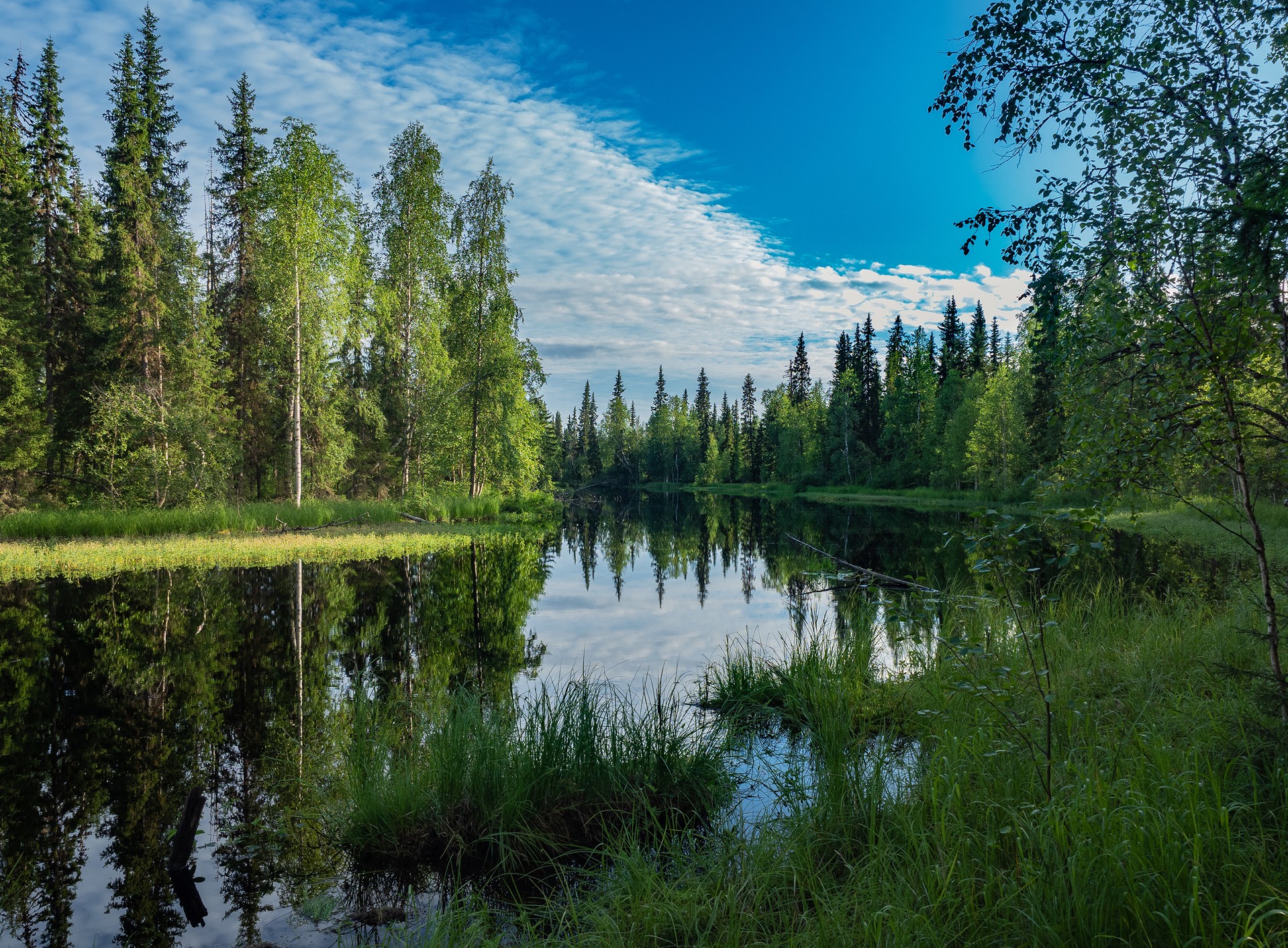 Продажа пейзажных фотографий