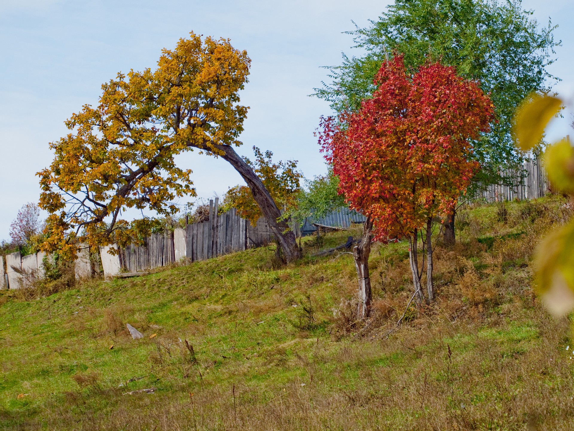 краски осени