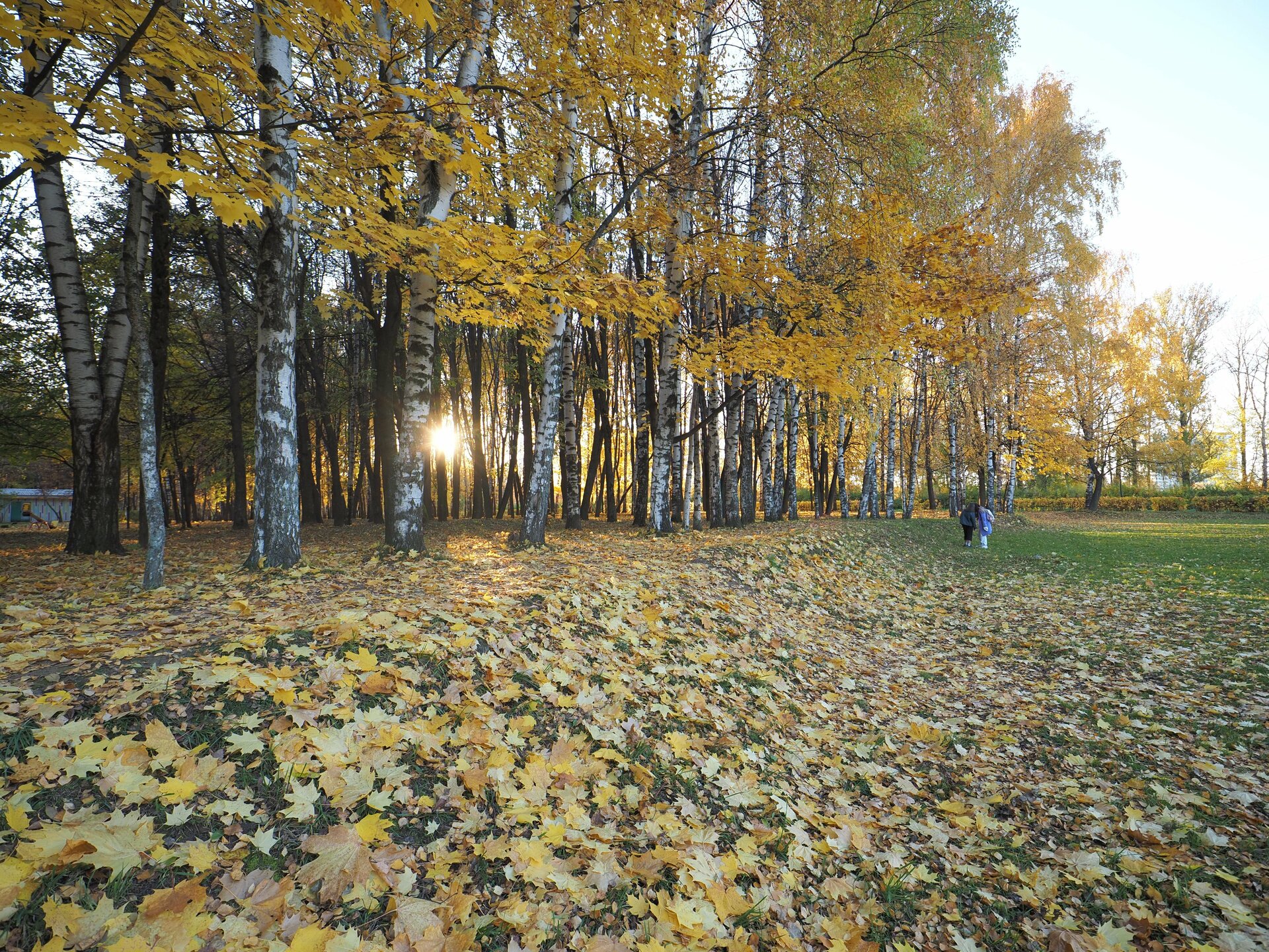 Осень