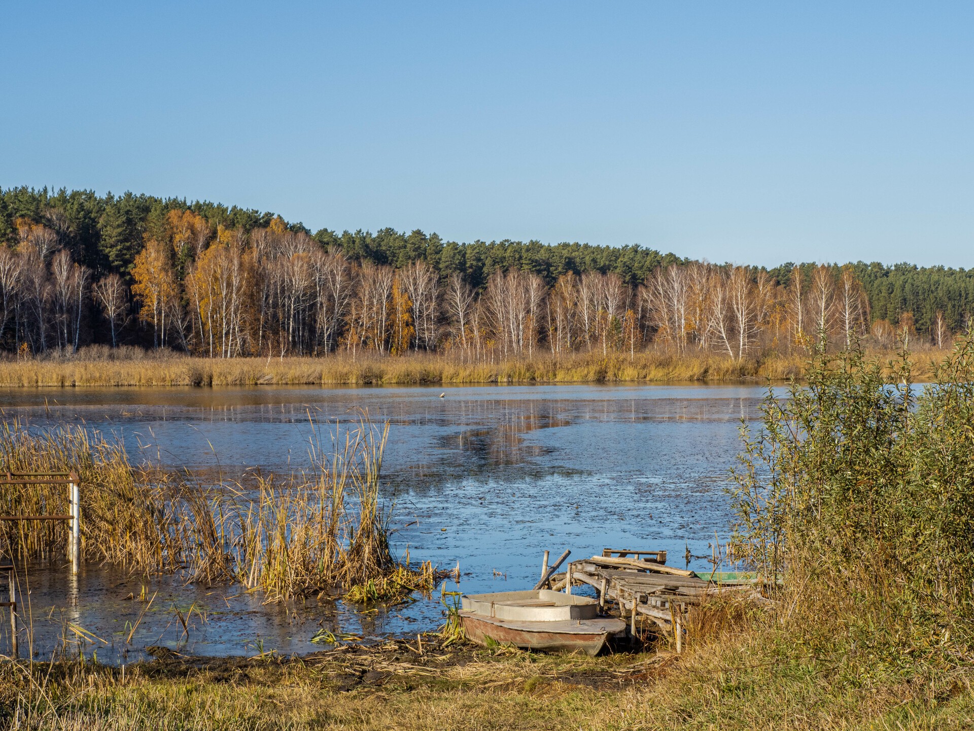 Утро в деревне