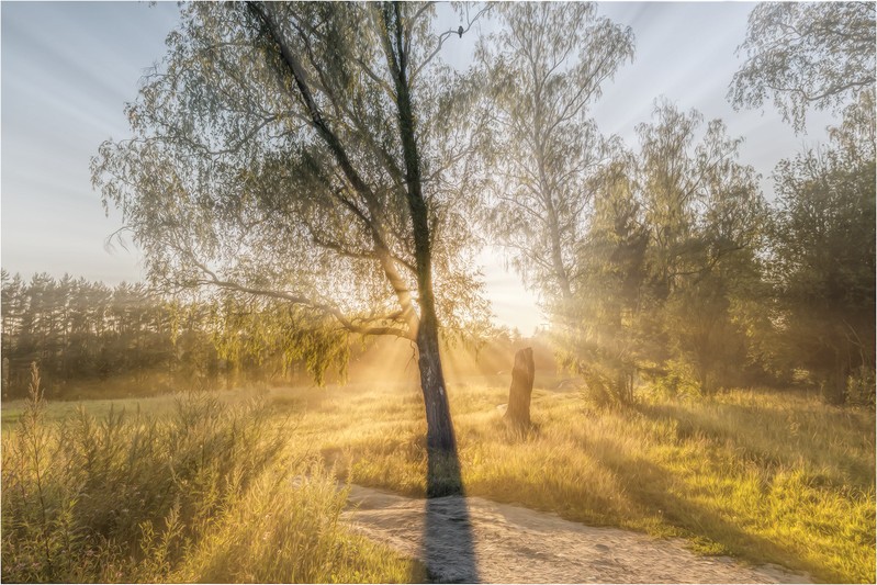 Фото сделанное пользователем Vesnin