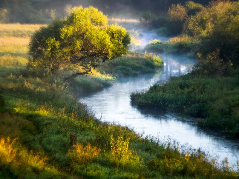 Фото сделанное пользователем Mira