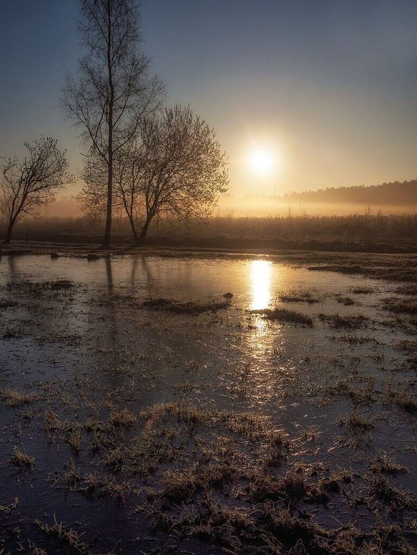 Фото сделанное пользователем Nomadd