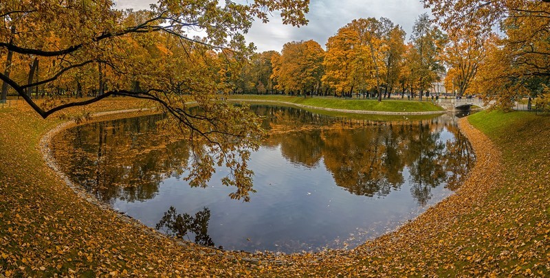 Фото сделанное пользователем kolhznicheg