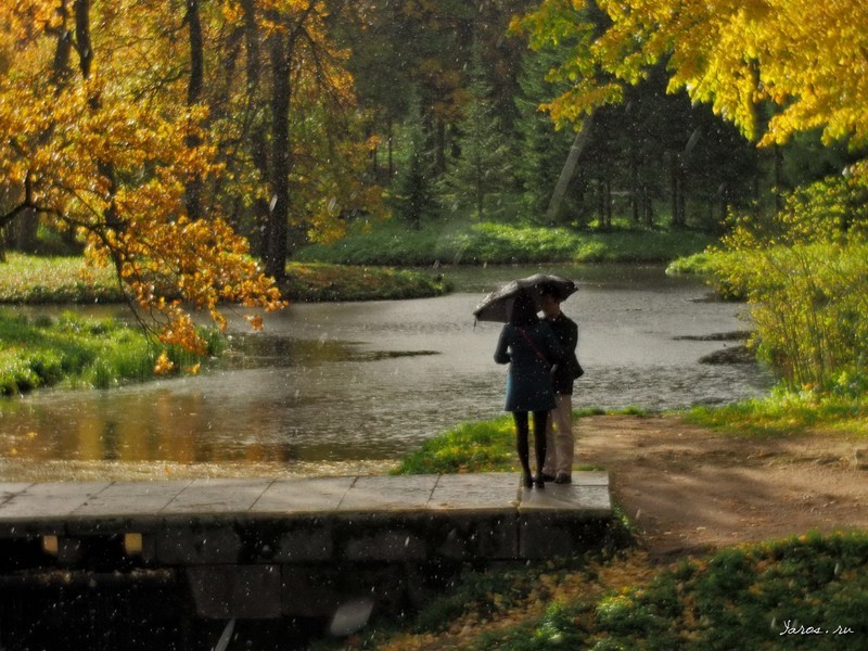 Фото сделанное пользователем yarosl