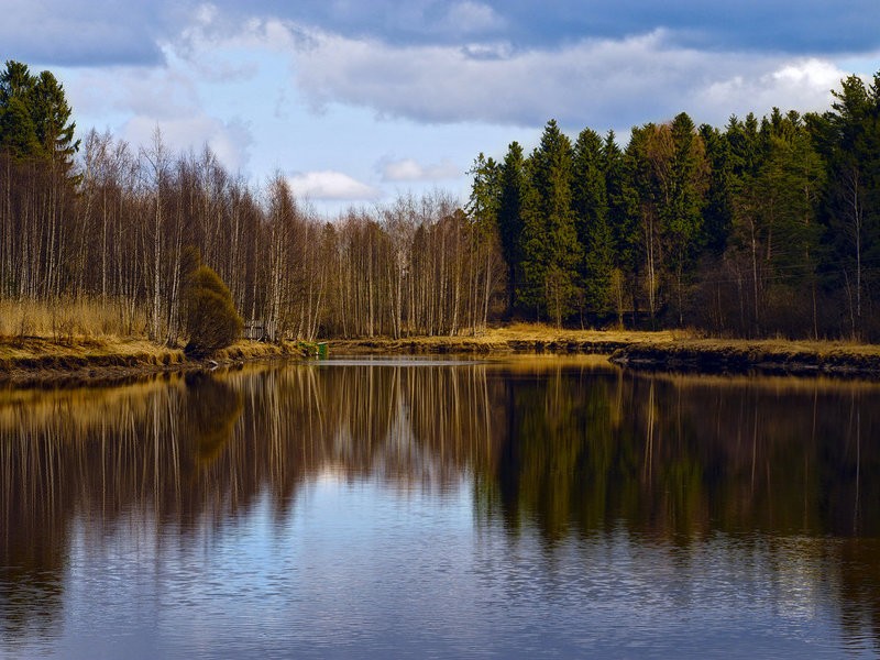 Фото сделанное пользователем skochkar