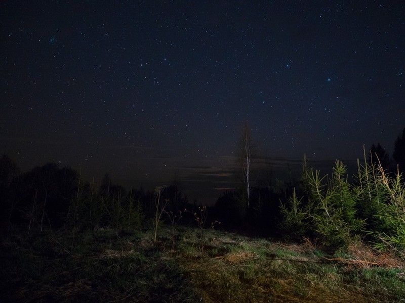 Фото сделанное пользователем Силантий