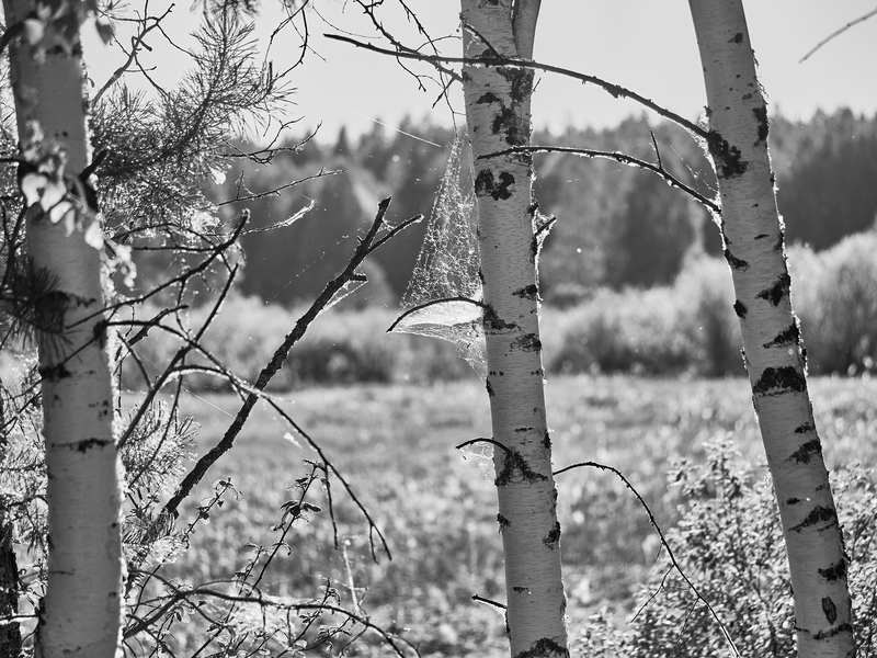 Фото сделанное пользователем rancho_of_joy
