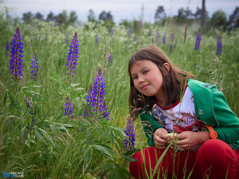 Фото сделанное пользователем romelenium