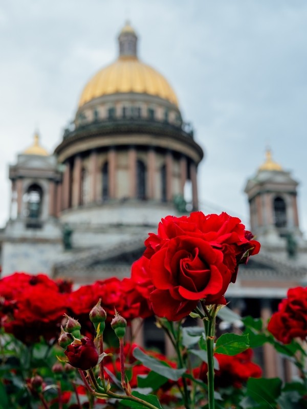 Фото сделанное пользователем alexx053