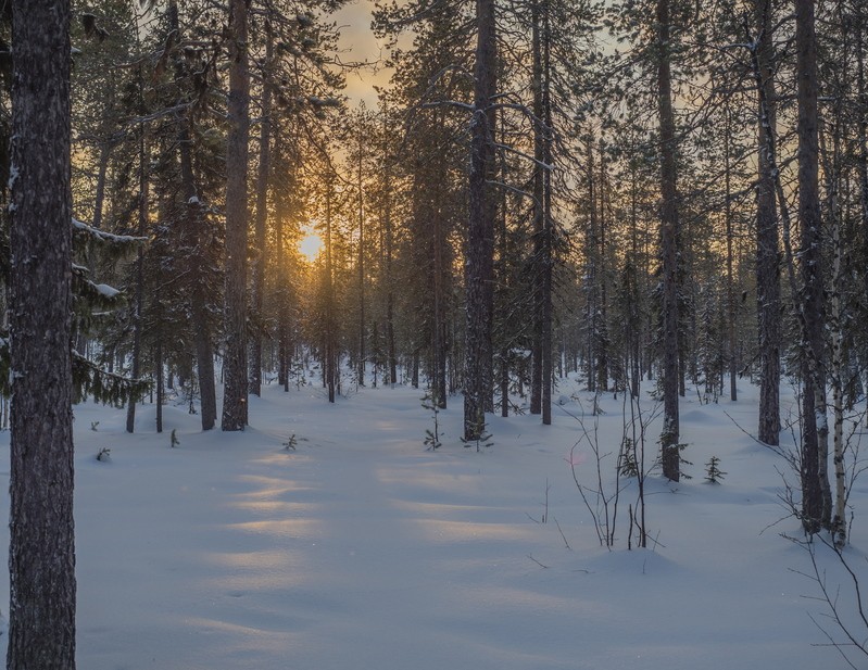 Фото сделанное пользователем tikhon.s4