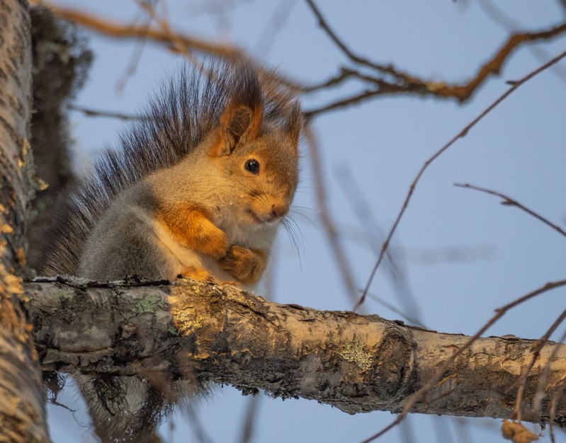 Фото сделанное пользователем tikhon.s4