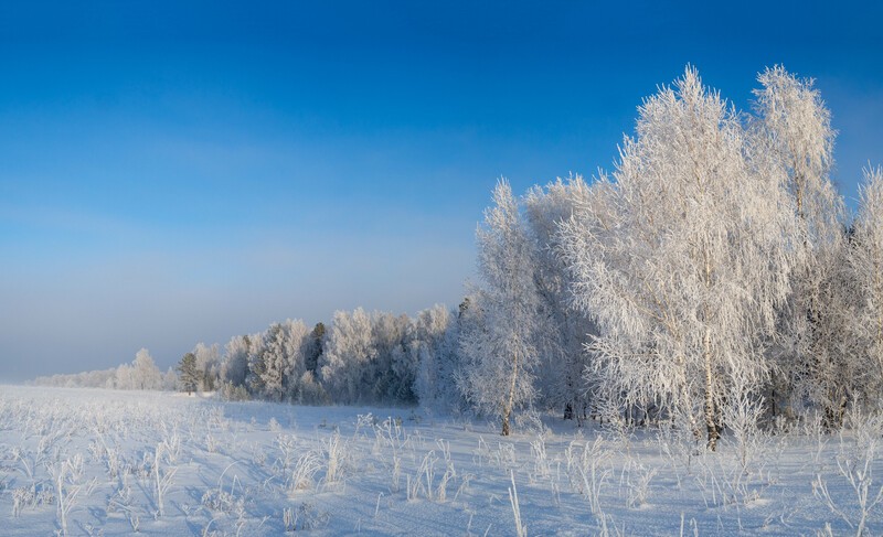 Фото сделанное пользователем Александр84