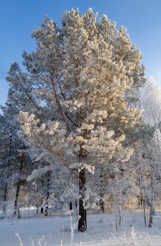 Фото сделанное пользователем Александр84