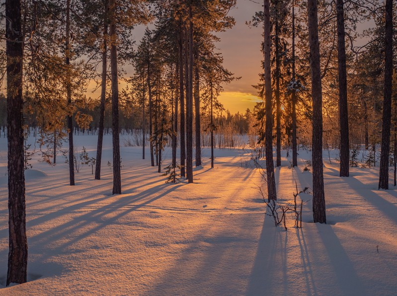 Фото сделанное пользователем tikhon.s4