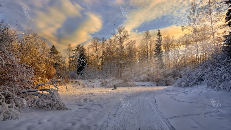 Фото сделанное пользователем vict26