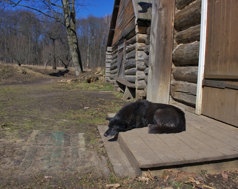 Фото сделанное пользователем eov