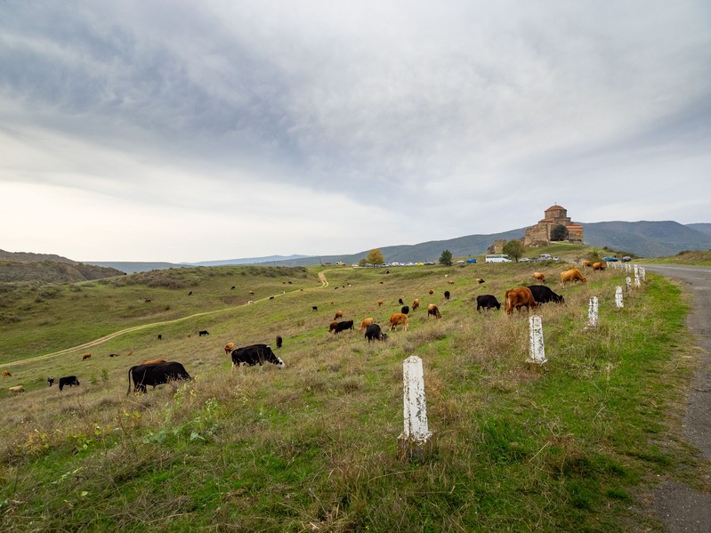 Фото сделанное пользователем Bazyl