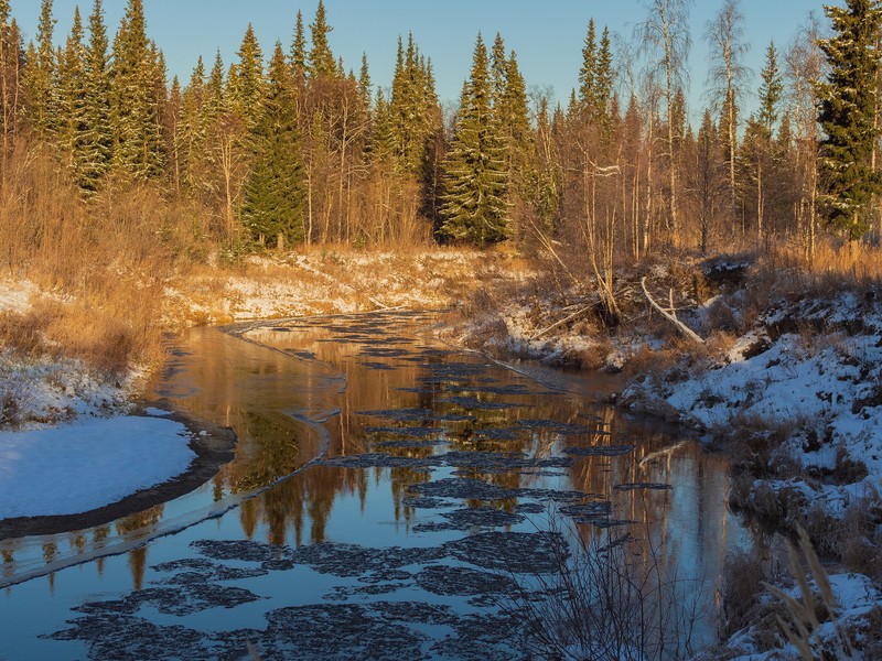 Фото сделанное пользователем tikhon.s4