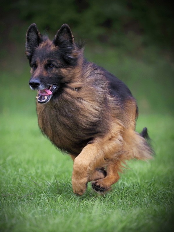 Фото сделанное пользователем A.Dogman