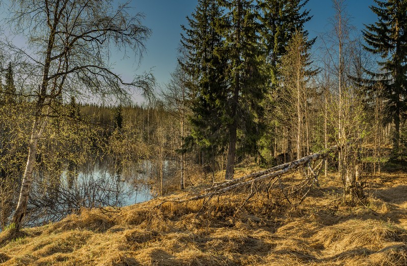 Фото сделанное пользователем tikhon.s4