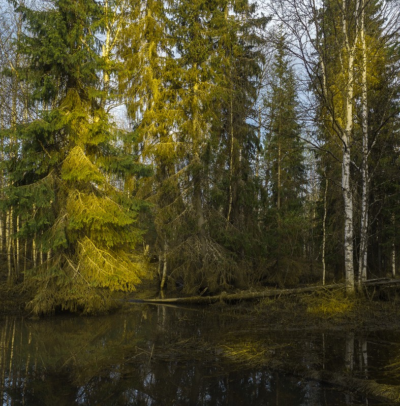 Фото сделанное пользователем tikhon.s4