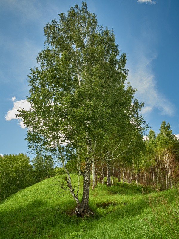 Фото сделанное пользователем gerhart