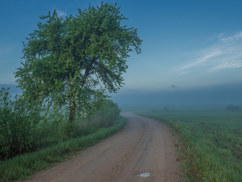 Фото сделанное пользователем rigor