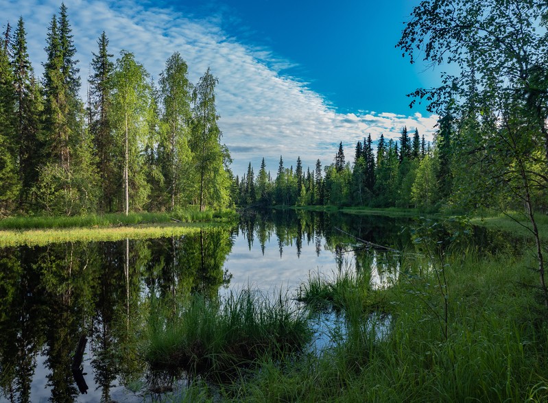 Фото сделанное пользователем tikhon.s4