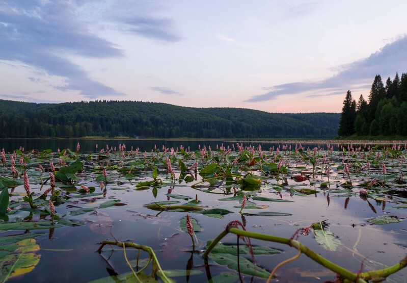 Фото сделанное пользователем Александр84