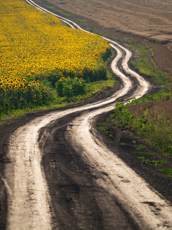 Фото сделанное пользователем Lurdess