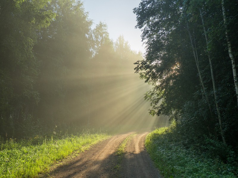 Фото сделанное пользователем rigor