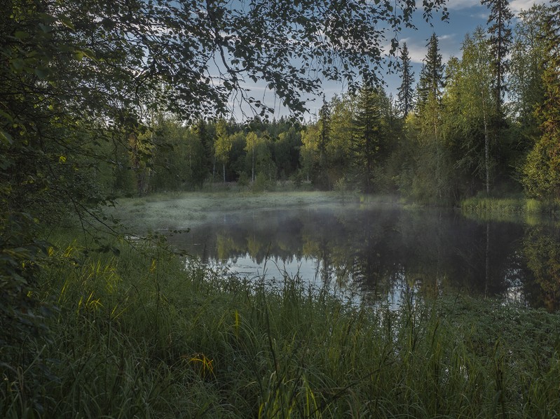 Фото сделанное пользователем tikhon.s4