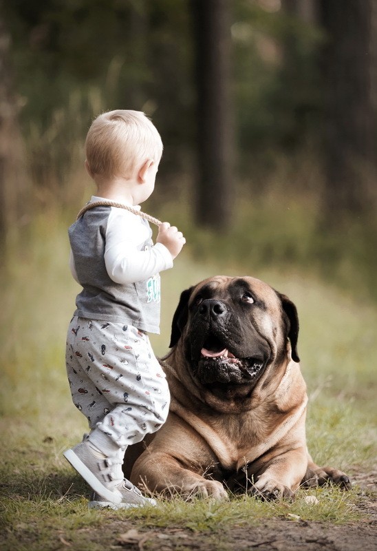 Фото сделанное пользователем A.Dogman