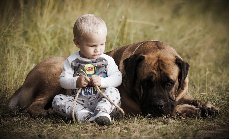 Фото сделанное пользователем A.Dogman