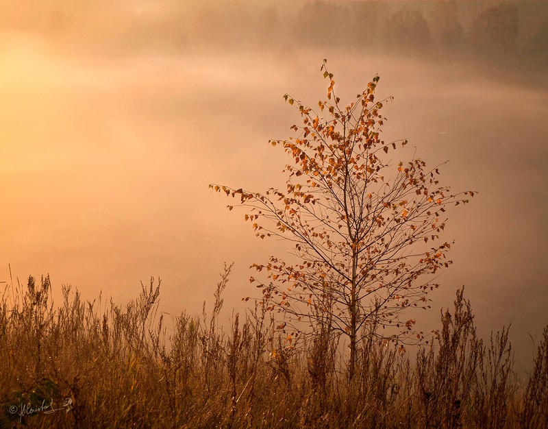 Фото сделанное пользователем mr.ptero