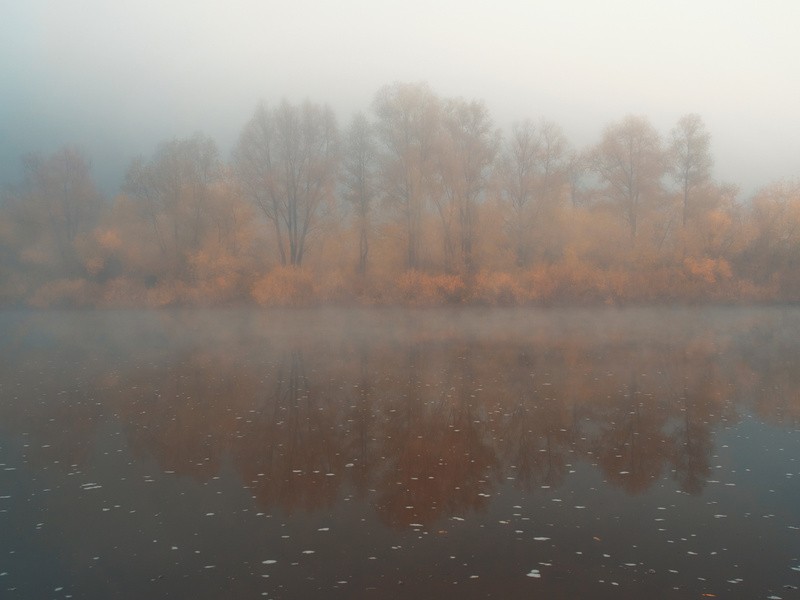 Фото сделанное пользователем gerhart