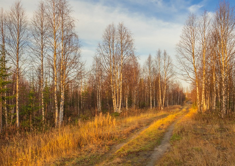 Фото сделанное пользователем tikhon.s4