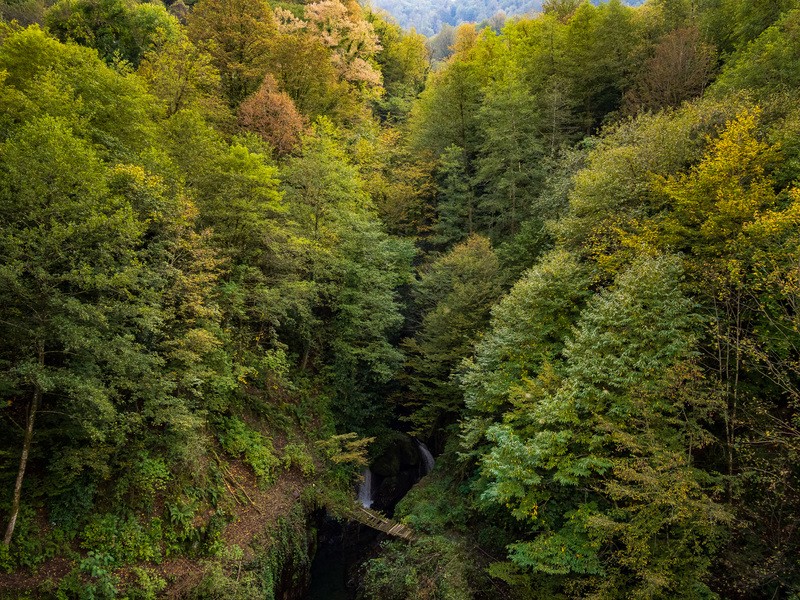 Фото сделанное пользователем Bazyl