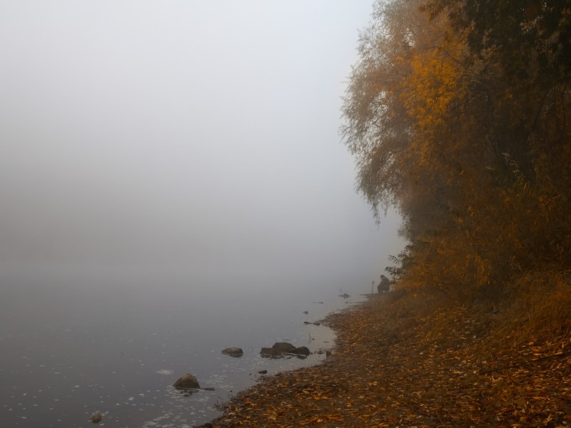 Фото сделанное пользователем gerhart