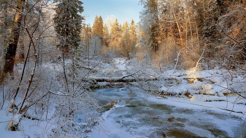 Фото сделанное пользователем vict26