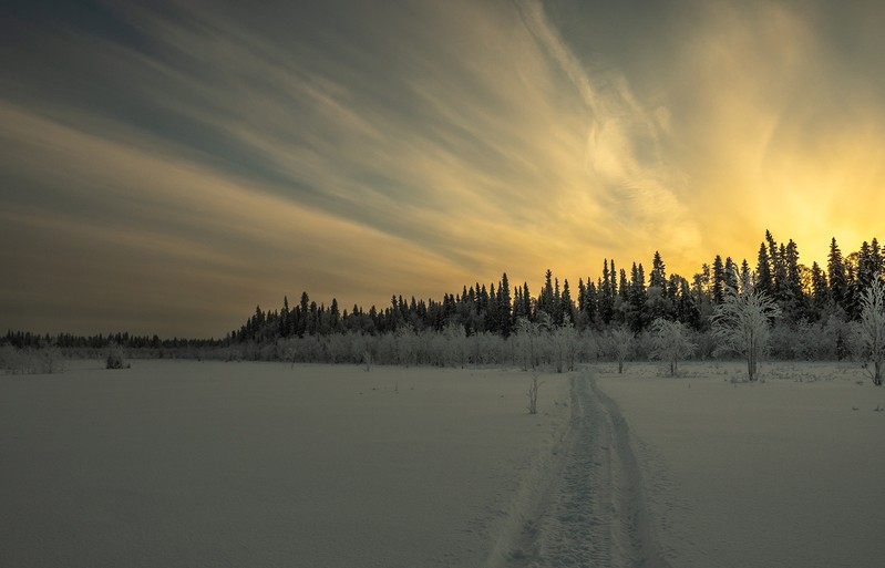 Фото сделанное пользователем tikhon.s4